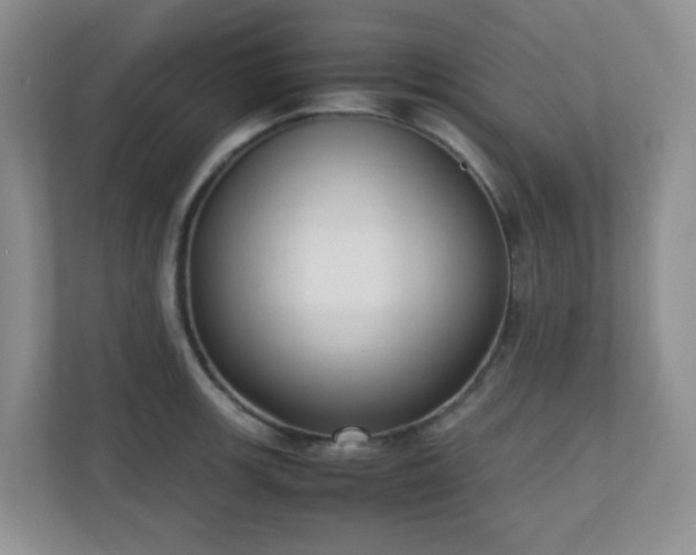 X0000110711139200906191542