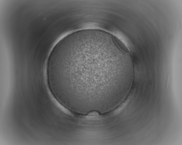 X0000110711142200906191542