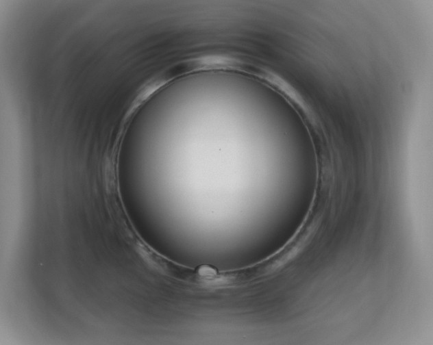 X0000110711145200906191542