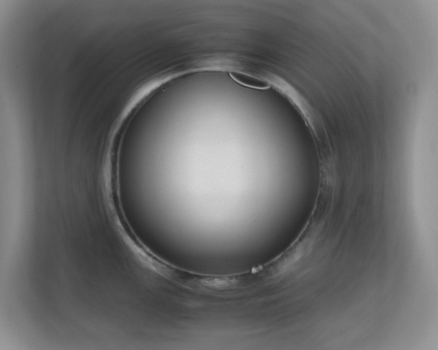 X0000110711147200906191542