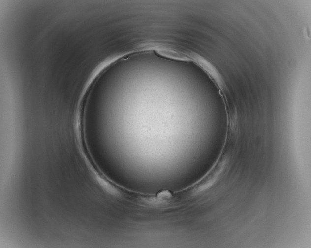 X0000110711149200906191542