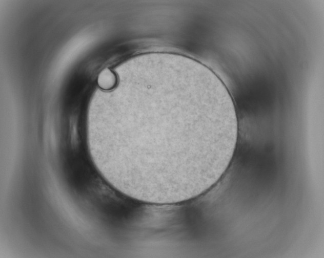 X0000110711150200906191542