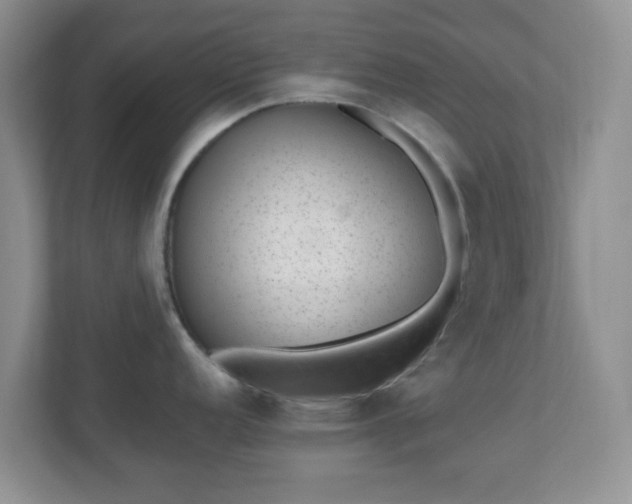 X0000110711152200906191542