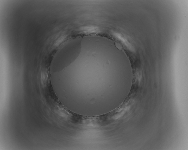 X0000110711157200906191542