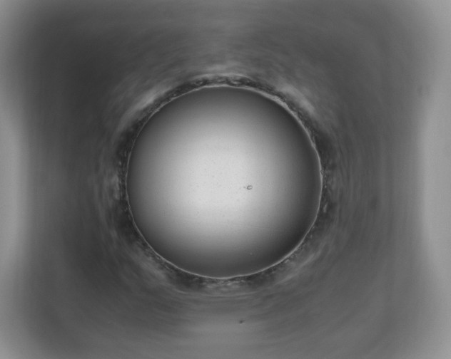 X0000110711159200906191542