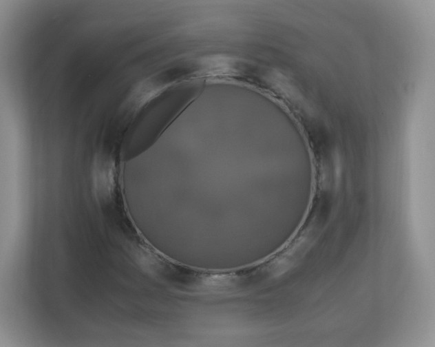 X0000110711161200906191542