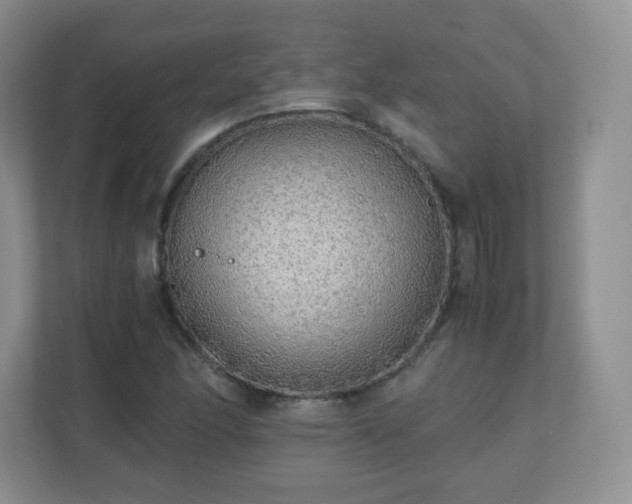 X0000110711166200906191542