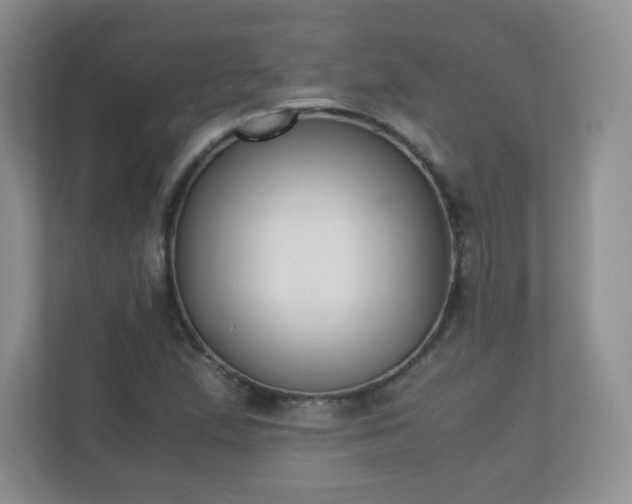 X0000110711167200906191541