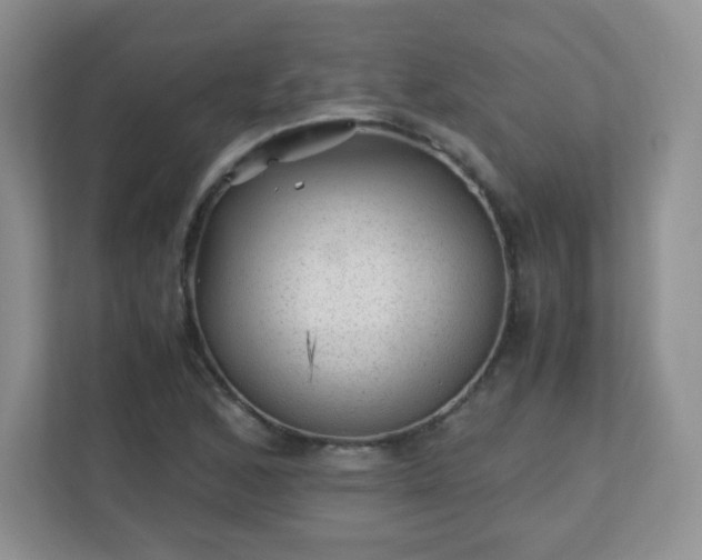 X0000110711168200906191541