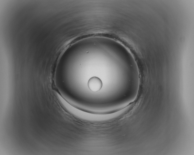 X0000110711169200906191541