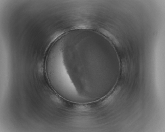 X0000110711170200906191541