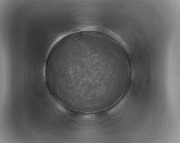 X0000110711174200906191541