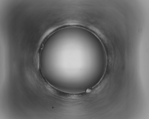X0000110711175200906191541