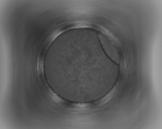X0000110711177200906191541