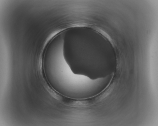 X0000110711179200906191541