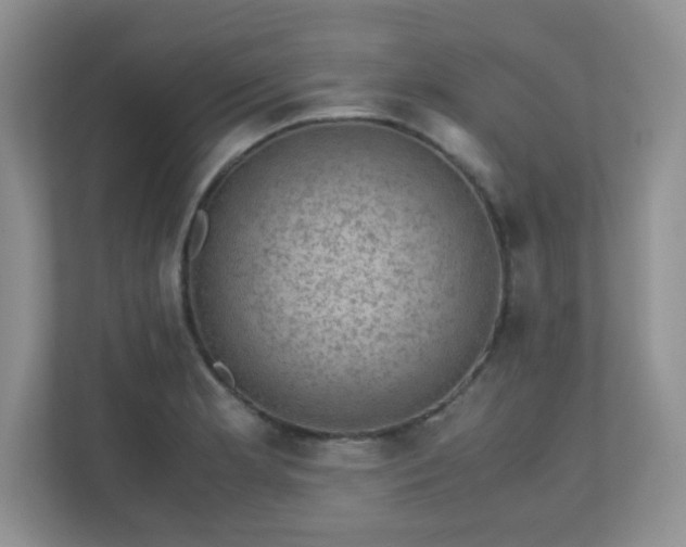 X0000110711181200906191541