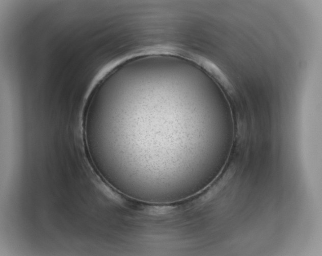 X0000110711184200906191541
