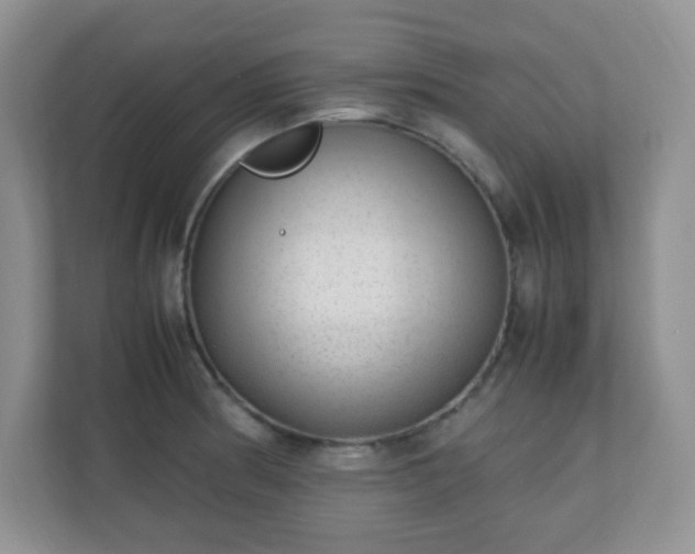X0000110711186200906191541