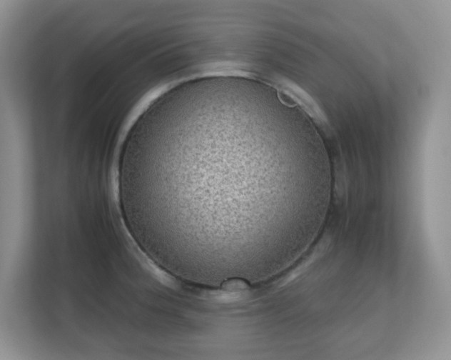 X0000110711188200906191541