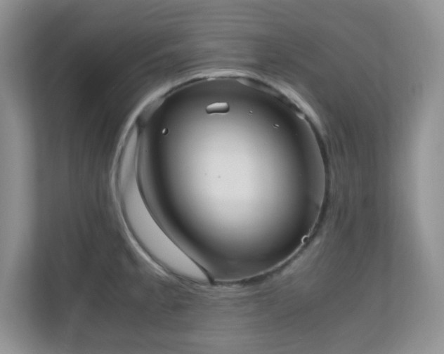 X0000110711189200906191541