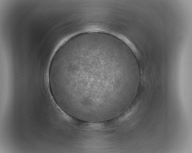 X0000110711191200906191541