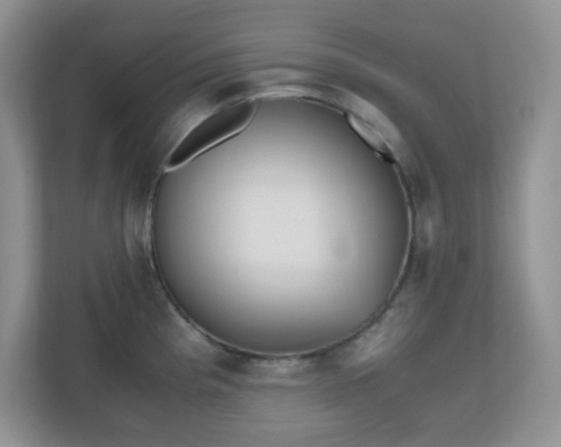 X0000110711193200906191541