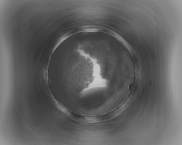 X0000110711194200906191541