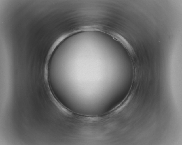 X0000110711196200906191541