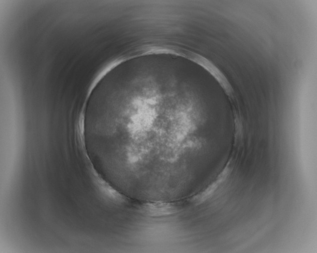 X0000110711198200906191541