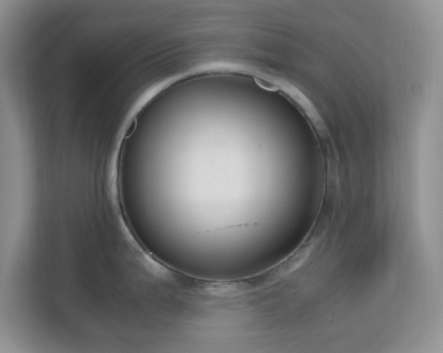 X0000110711199200906191541