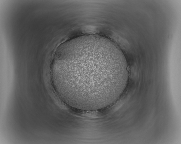 X0000110711201200906191540