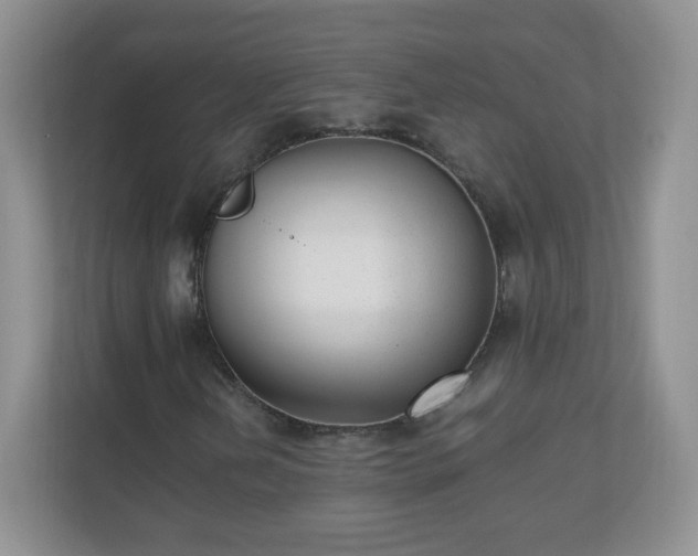 X0000110711202200906191540