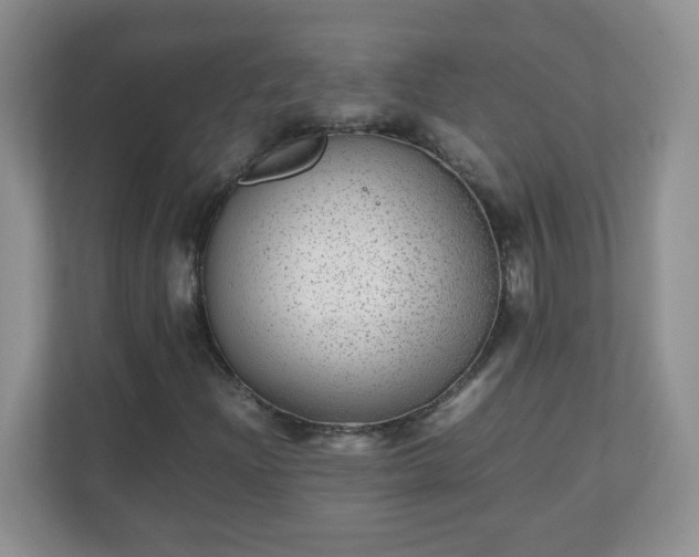 X0000110711204200906191540