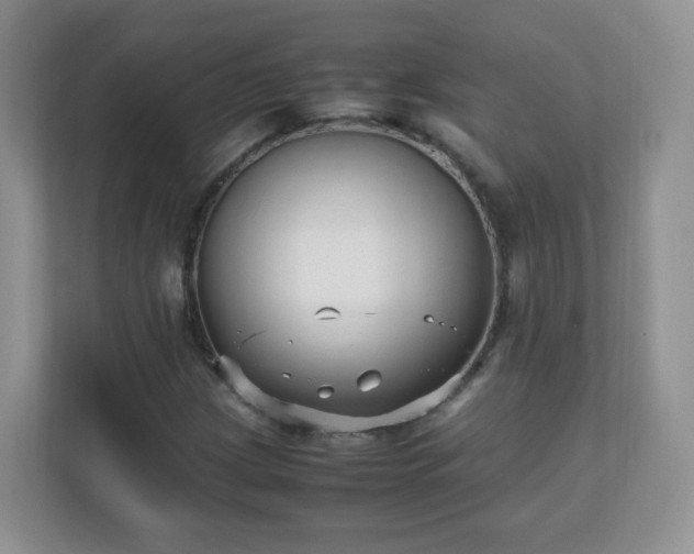 X0000110711209200906191541