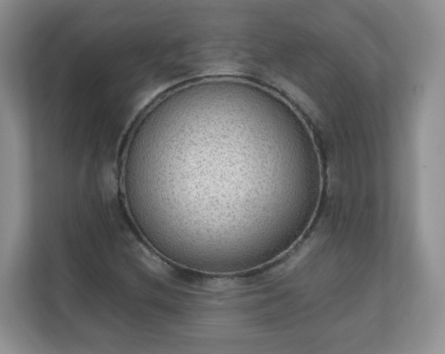 X0000110711212200906191541