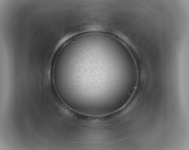 X0000110711222200906191541