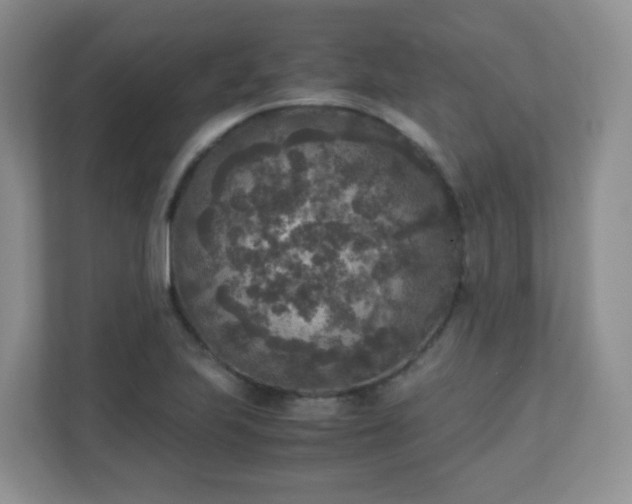 X0000110711223200906191541