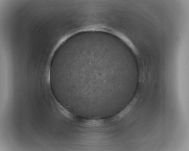 X0000110711224200906191541