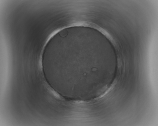 X0000110711230200906191541