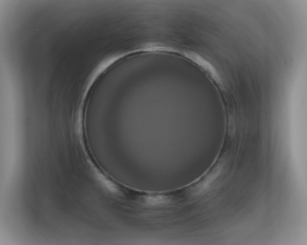 X0000110711231200906191541