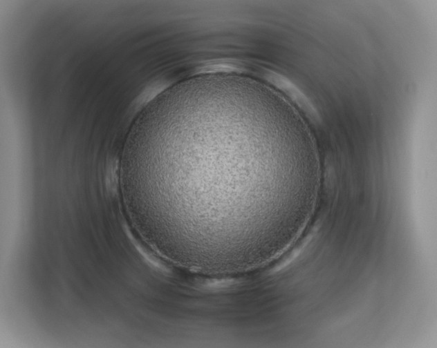 X0000110711233200906191541
