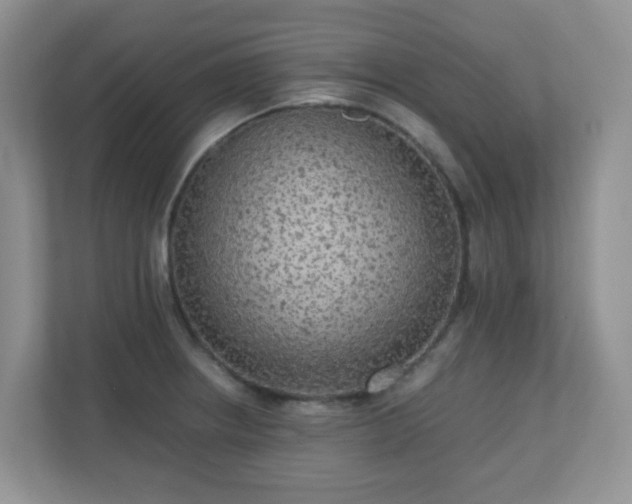 X0000110711234200906191541