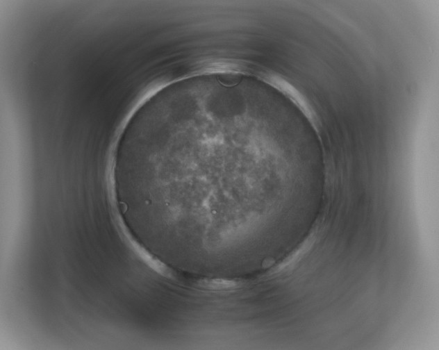 X0000110711235200906191541