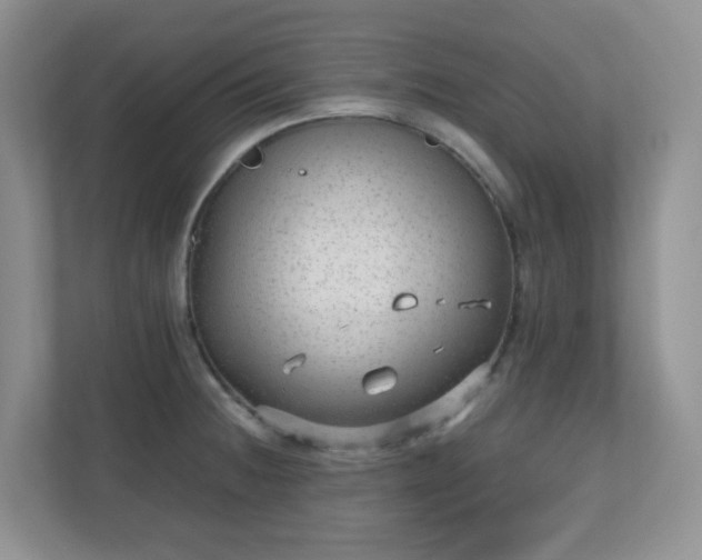 X0000110711236200906191541