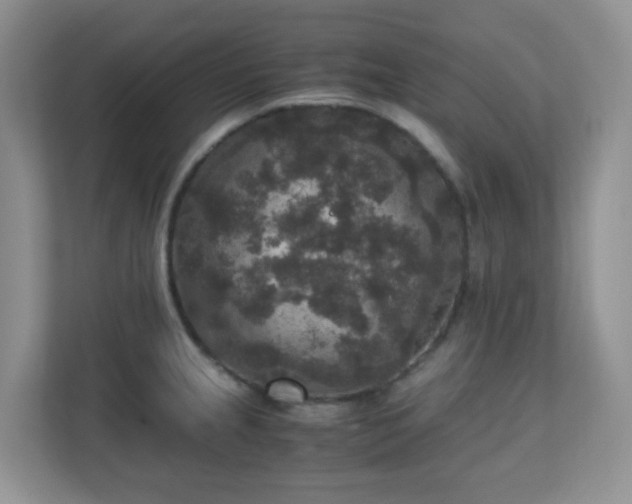 X0000110711237200906191541