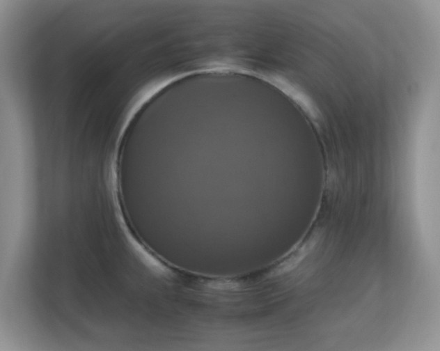 X0000110711239200906191541