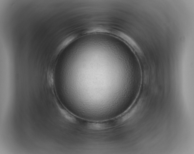 X0000110711241200906191541