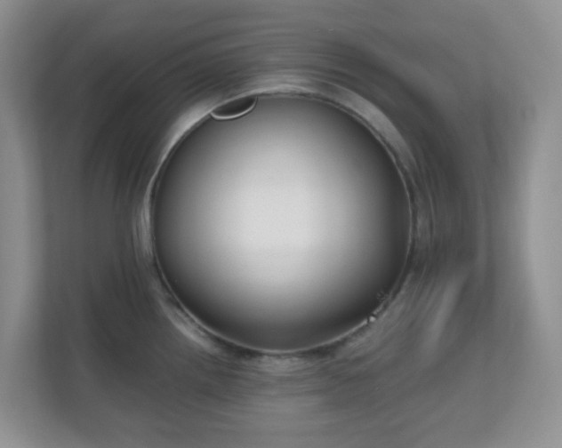 X0000110711242200906191541
