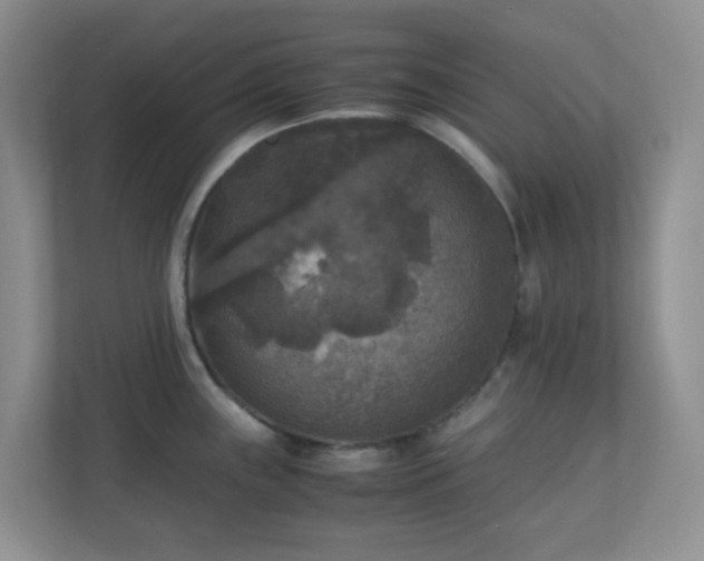 X0000110711243200906191541
