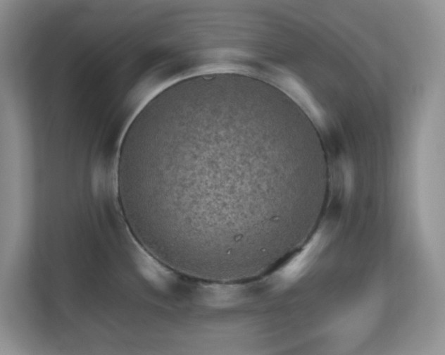 X0000110711244200906191541